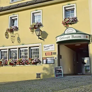 https://hotel-gruner-baum-naila.com-bavaria.com